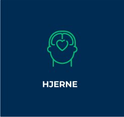 Hjerne